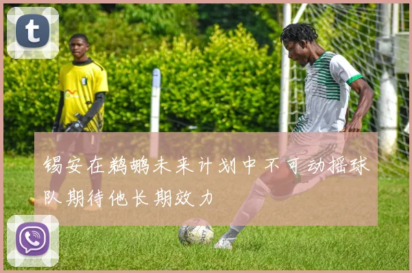 锡安在鹈鹕未来计划中不可动摇球队期待他长期效力